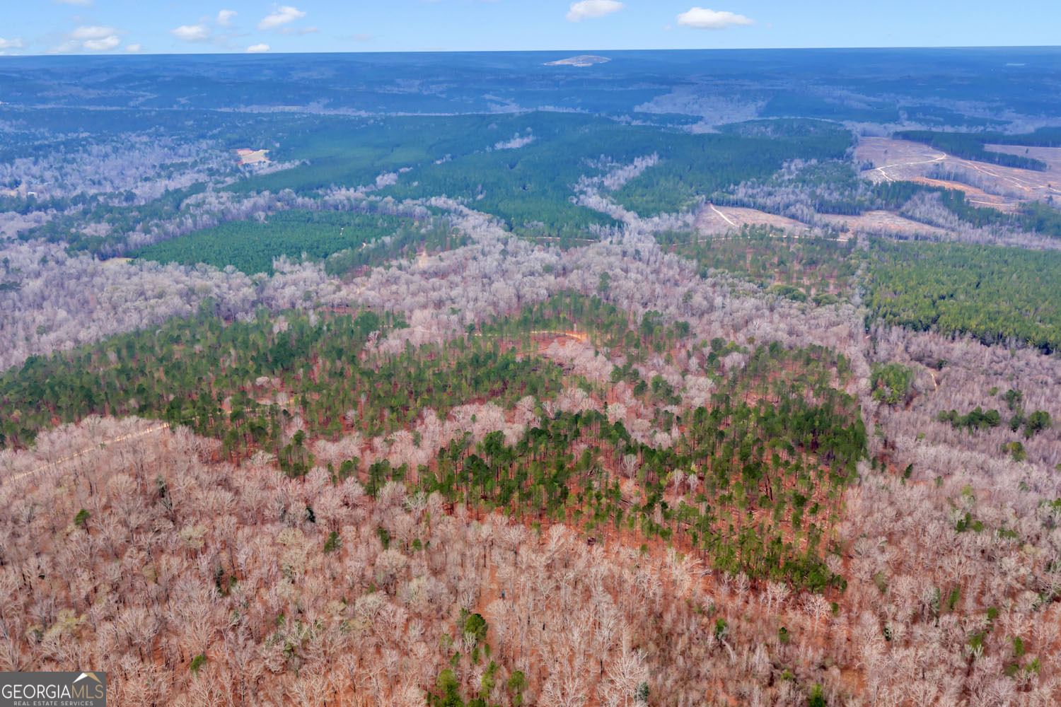 Truslow South Durham Mill Road Jeffersonville, GA 31044 - Photo 45 of 49