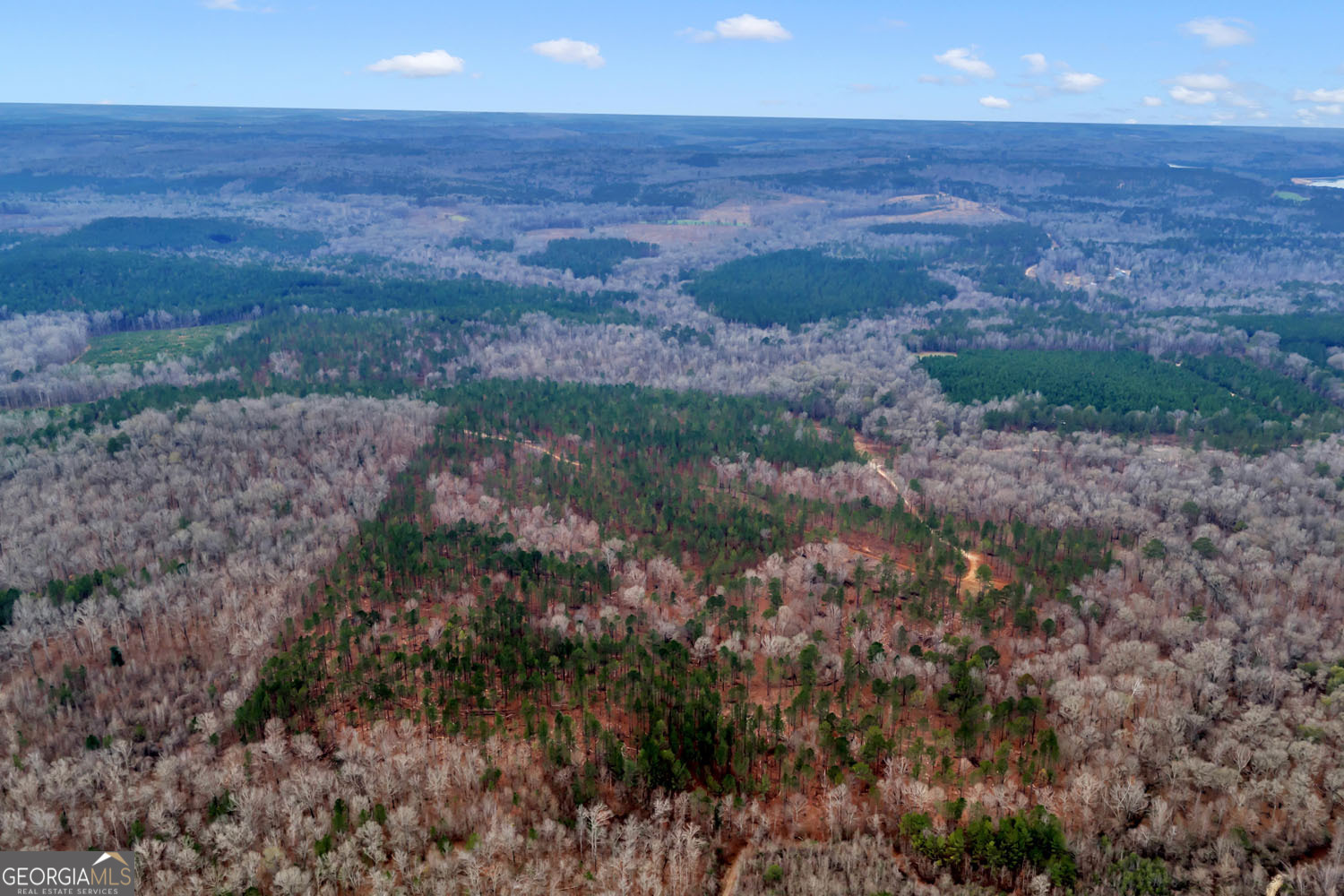 Truslow South Durham Mill Road Jeffersonville, GA 31044 - Photo 46 of 49