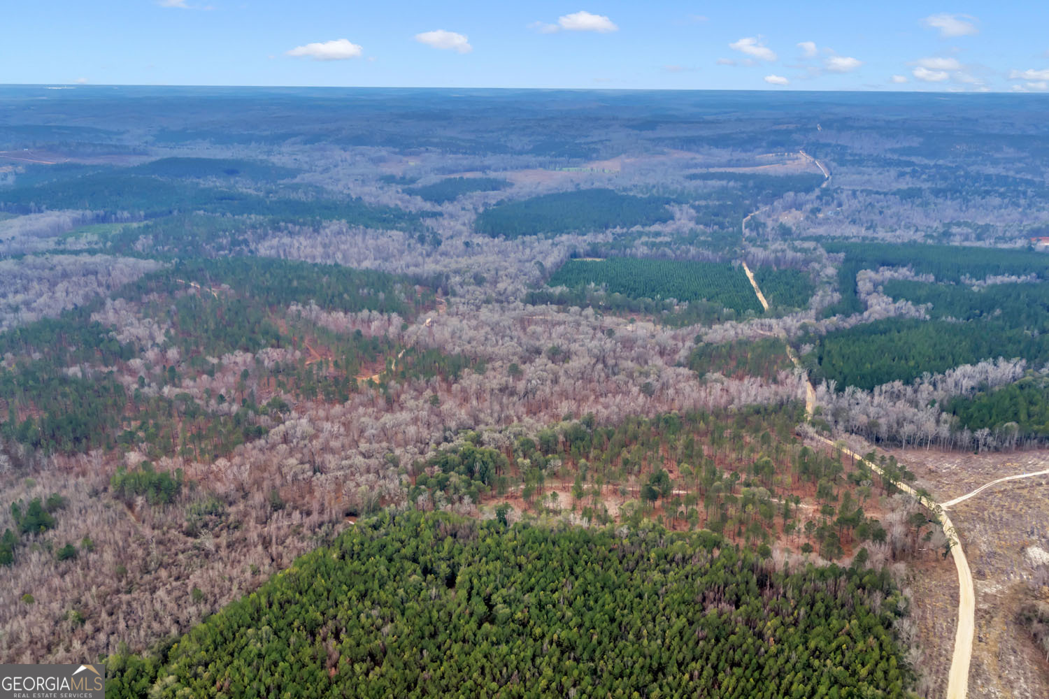 Truslow South Durham Mill Road Jeffersonville, GA 31044 - Photo 47 of 49