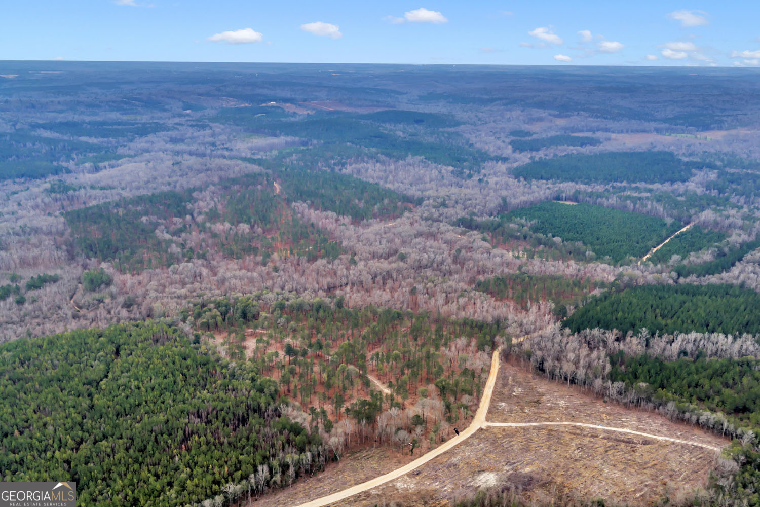 Truslow South Durham Mill Road Jeffersonville, GA 31044 - Photo 48 of 49