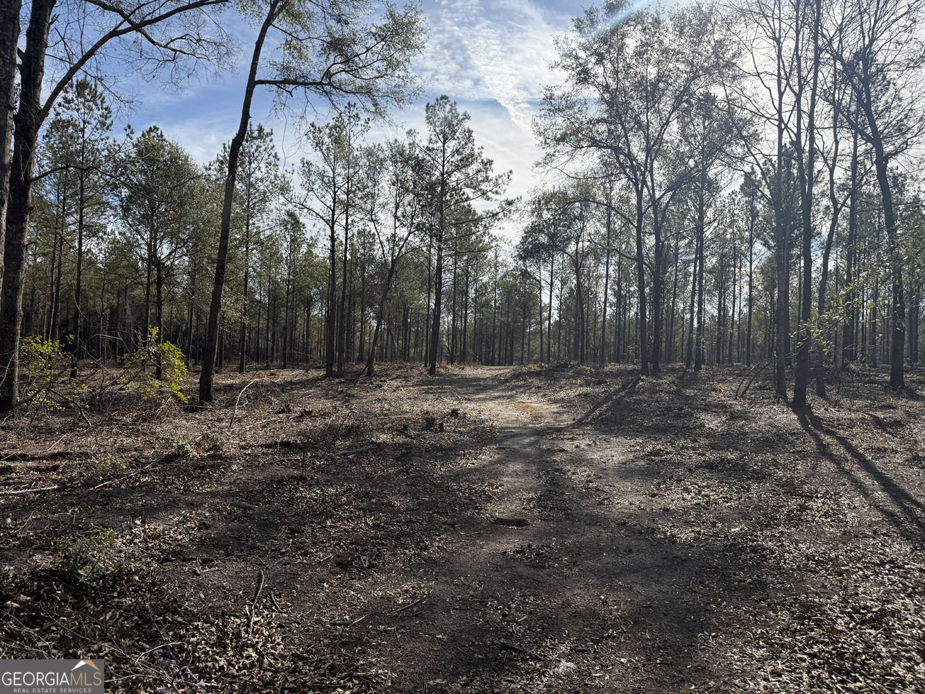 Truslow South Durham Mill Road Jeffersonville, GA 31044 - Photo 5 of 49