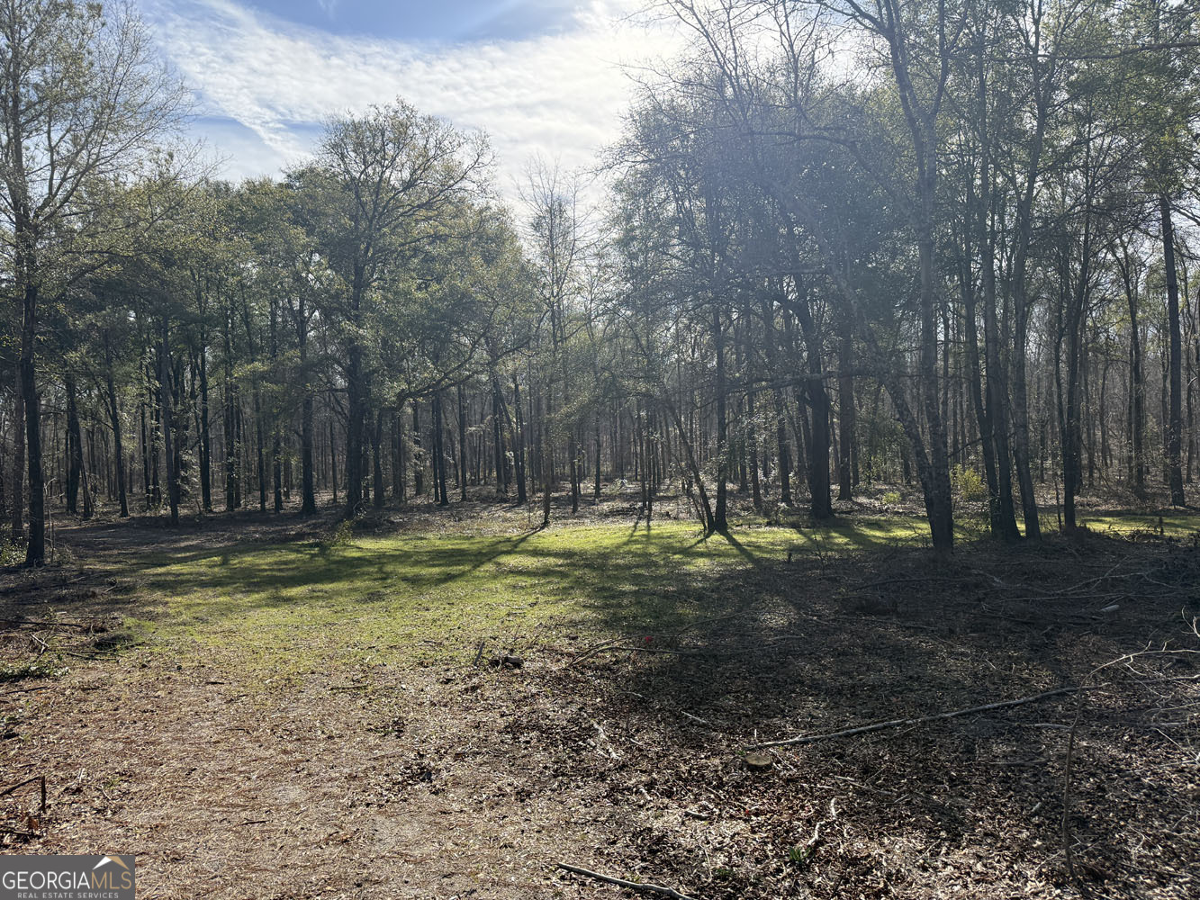 Truslow South Durham Mill Road Jeffersonville, GA 31044 - Photo 7 of 49