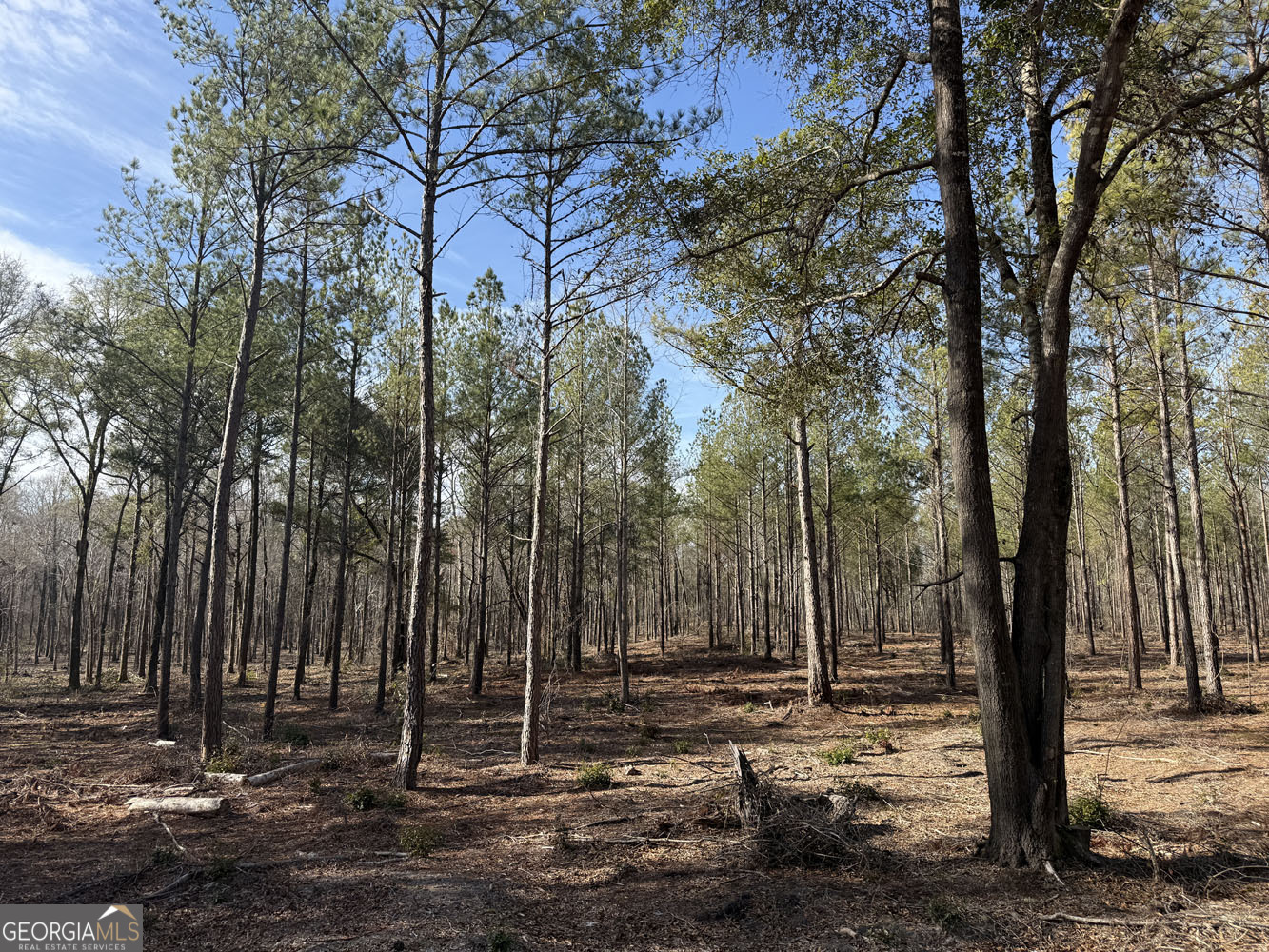 Truslow South Durham Mill Road Jeffersonville, GA 31044 - Photo 8 of 49