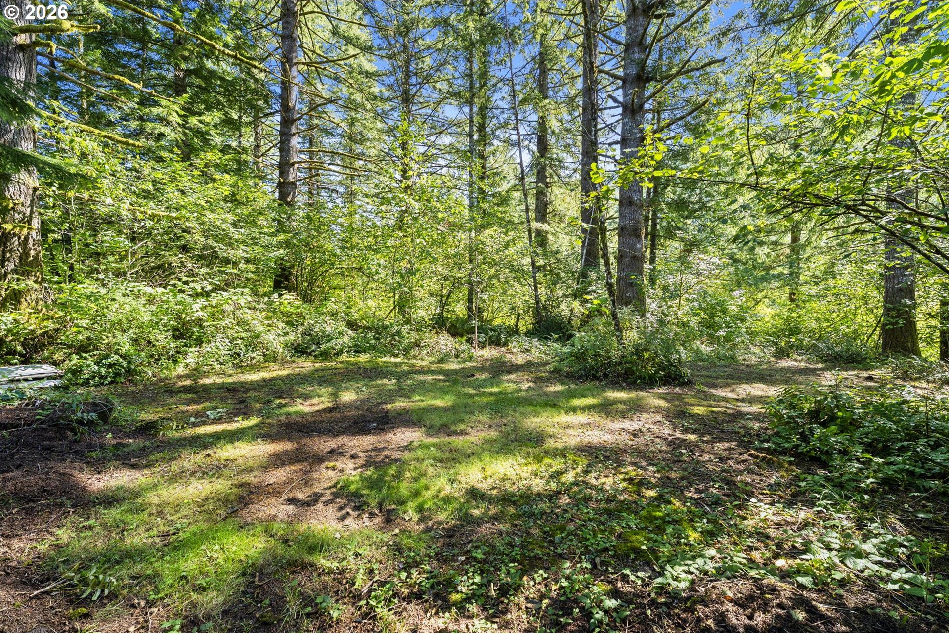 374 Baker Road Ariel, WA 98603 - Photo 8 of 40 Gallery Image 8