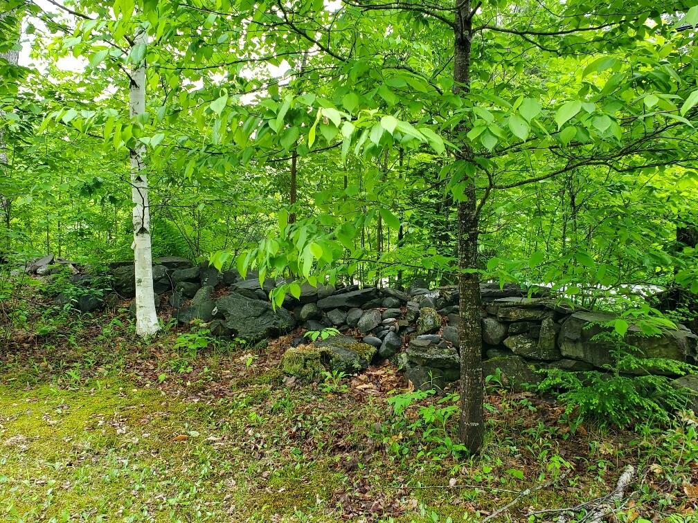 92 Huff Road Cornville, ME 04976 - Photo 83 of 121 stone wall near Dow Rd