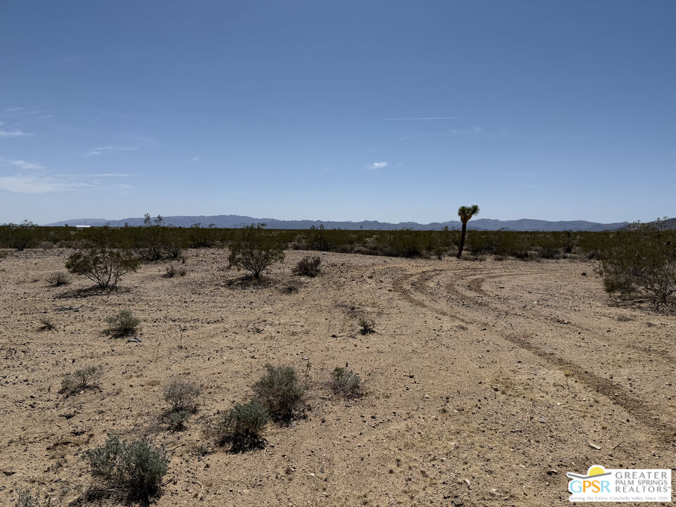 1725 Sunny Vista Road Joshua Tree, CA 92252 - Photo 6 of 11 a view of a dry yard with wooden fence