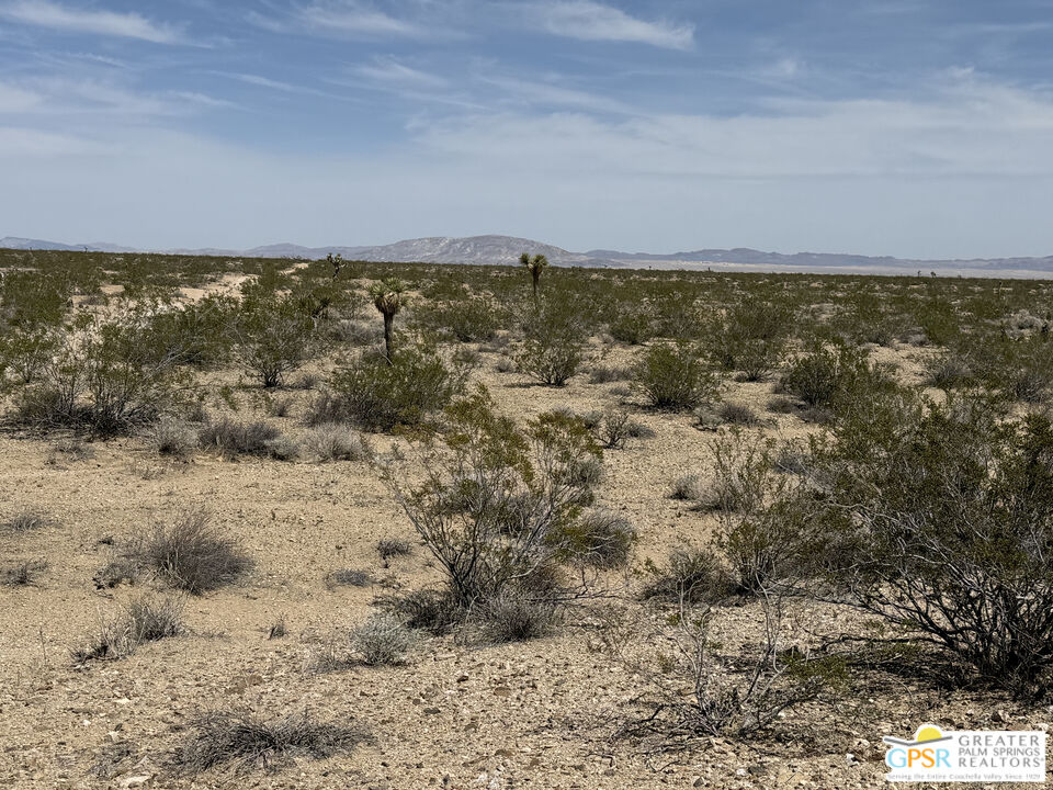1725 Sunny Vista Road Joshua Tree, CA 92252 - Photo 8 of 11 a view of an ocean beach