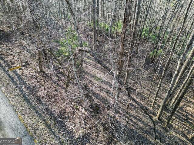 0 Chestnut Mountain Road Rabun Gap, GA 30568 - Photo 2 of 5 a view of a yard with a tree
