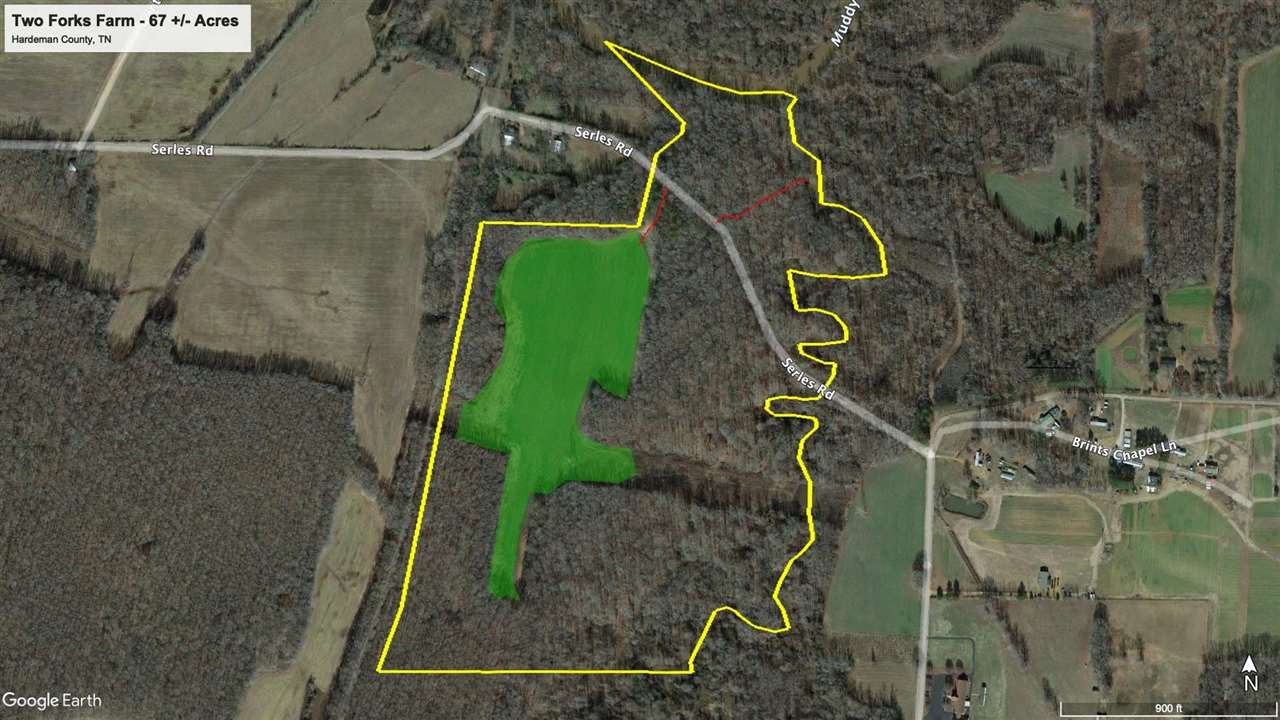 3310 Serles Road Middleton, TN 38052 - Photo 13 of 15 Gallery Image 13