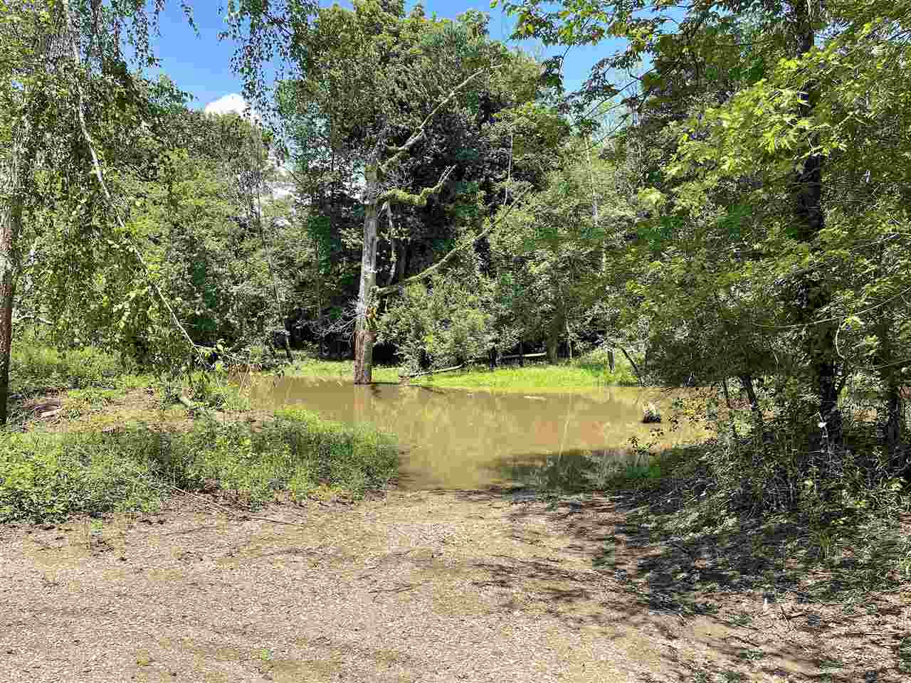 3310 Serles Road Middleton, TN 38052 - Photo 6 of 15 Gallery Image 6