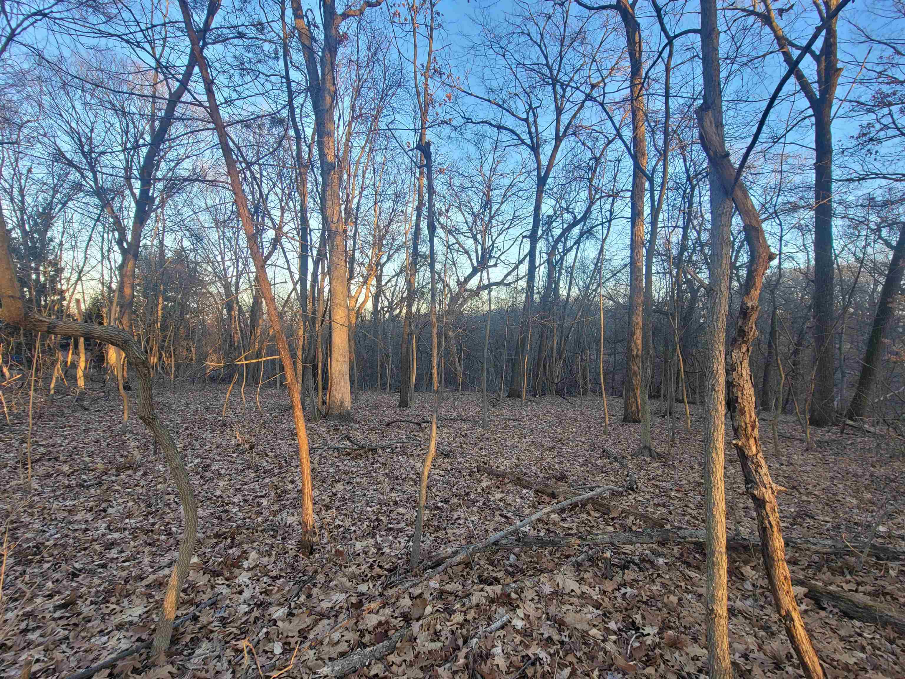 3197 South Rocky Hill Road Galena, IL 61036 - Photo 8 of 15