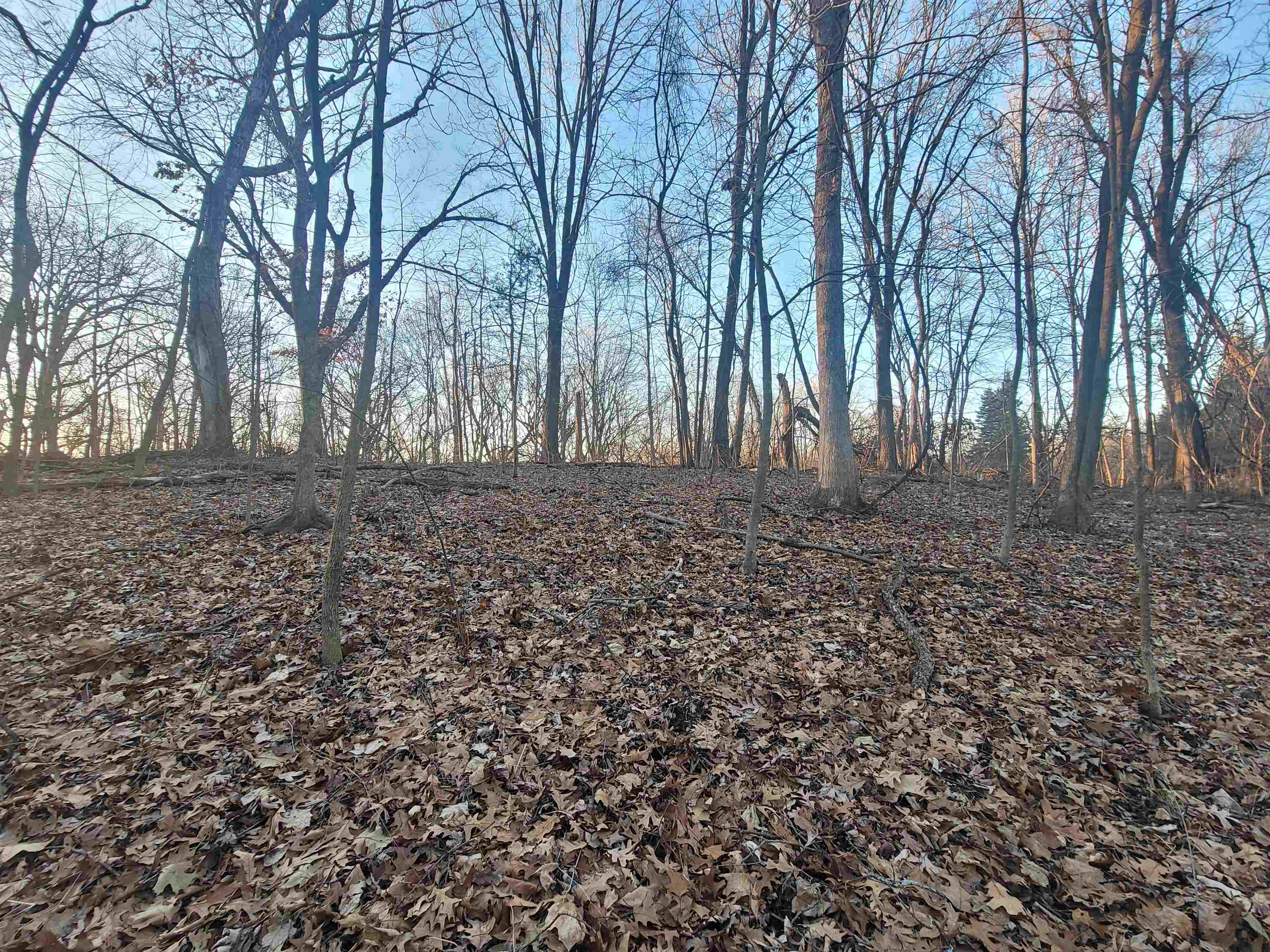 3197 South Rocky Hill Road Galena, IL 61036 - Photo 9 of 15