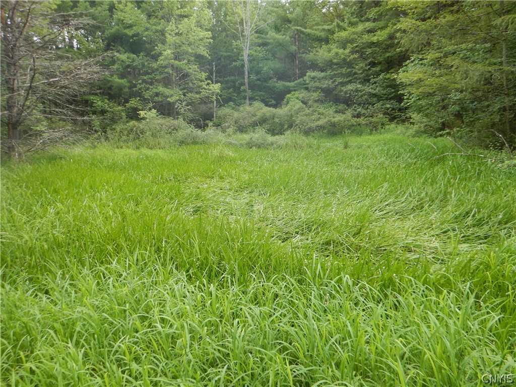 Bull Hill Road Newfield, NY 14867 - Photo 15 of 36