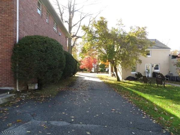 a view of a yard with plants and a trees