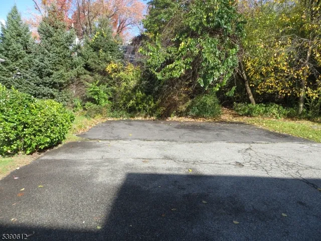 a view of a dirt road with trees