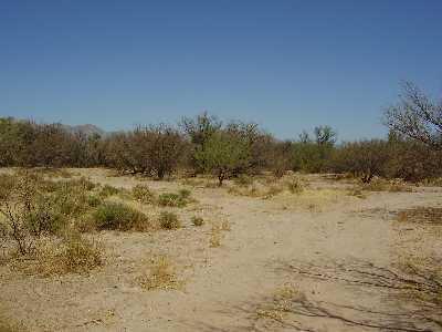 1210 West Bell Road Benson, AZ 85602 - Photo 2 of 3