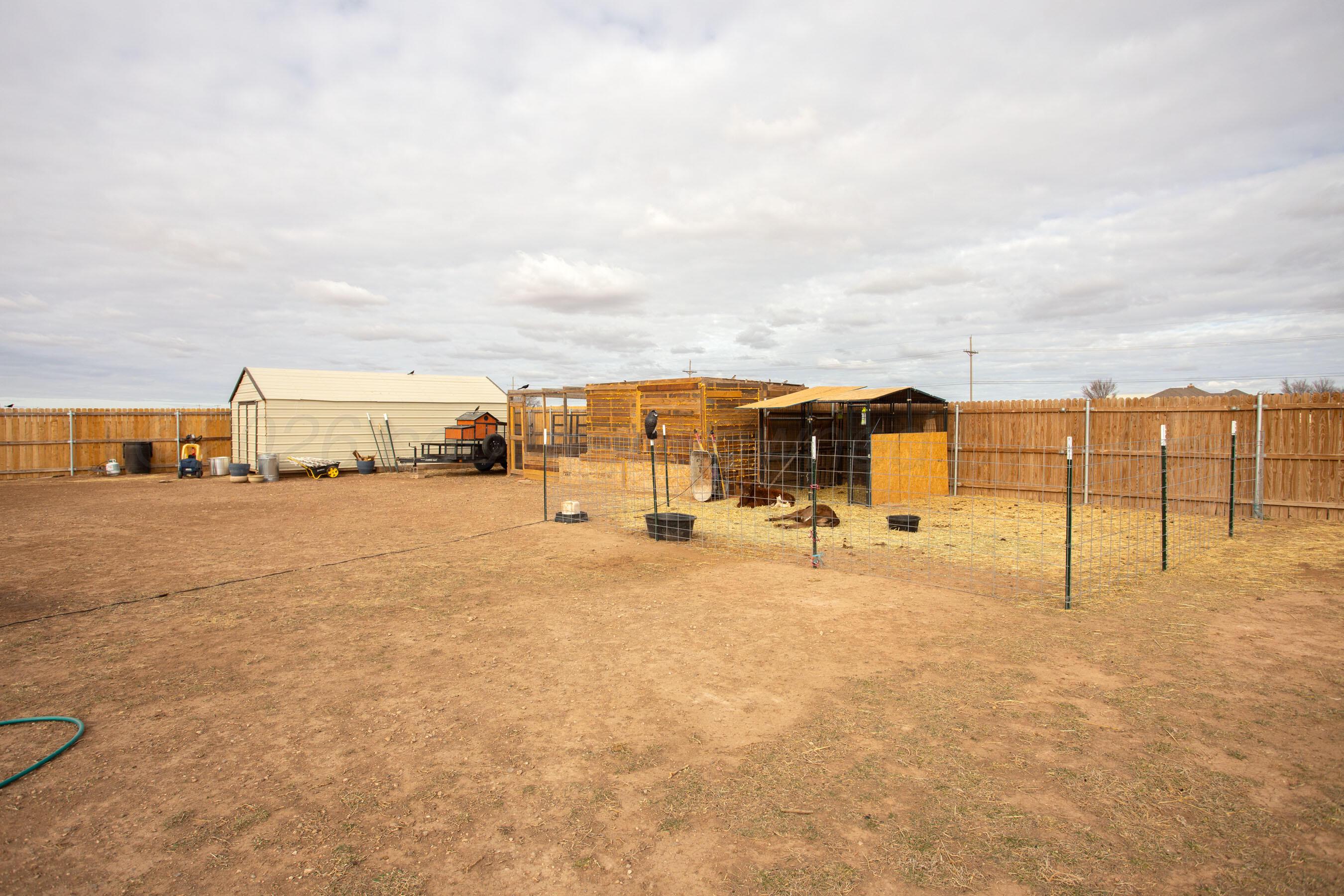 8200 Matilda Lane Amarillo, TX 79119 - Photo 36 of 39 a view of tall trees with beach