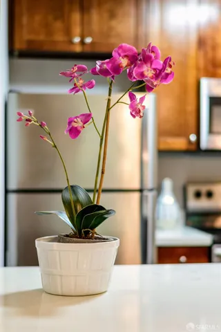 $499,000 | 6148 Shelter Creek Lane, San Bruno, CA 94066