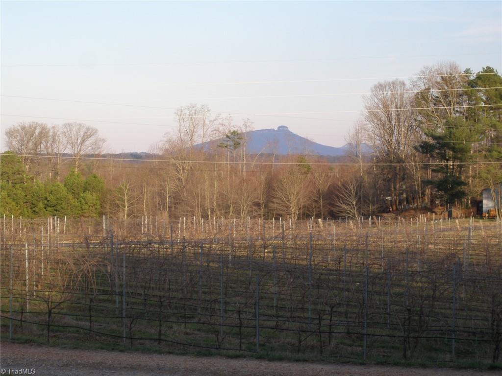 117 Buck Fork Road Dobson, NC 27017 - Photo 11 of 31 Gallery Image 11