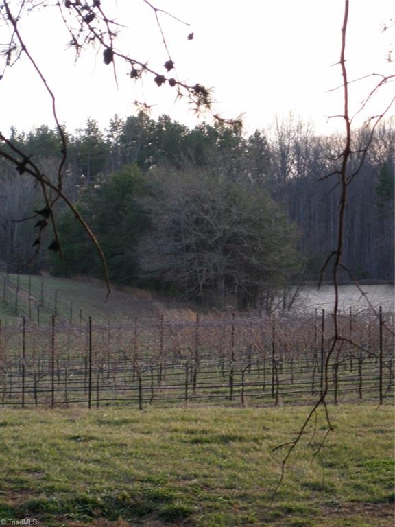 117 Buck Fork Road Dobson, NC 27017 - Photo 13 of 31 Gallery Image 13