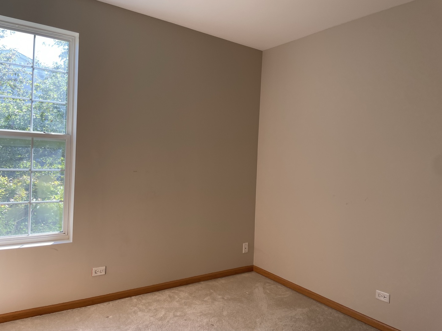 1531 Millbrook Drive Algonquin, IL 60102 - Photo 11 of 14 an empty room with a window