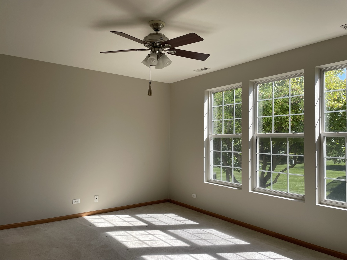 1531 Millbrook Drive Algonquin, IL 60102 - Photo 6 of 14 an empty room with windows and fan