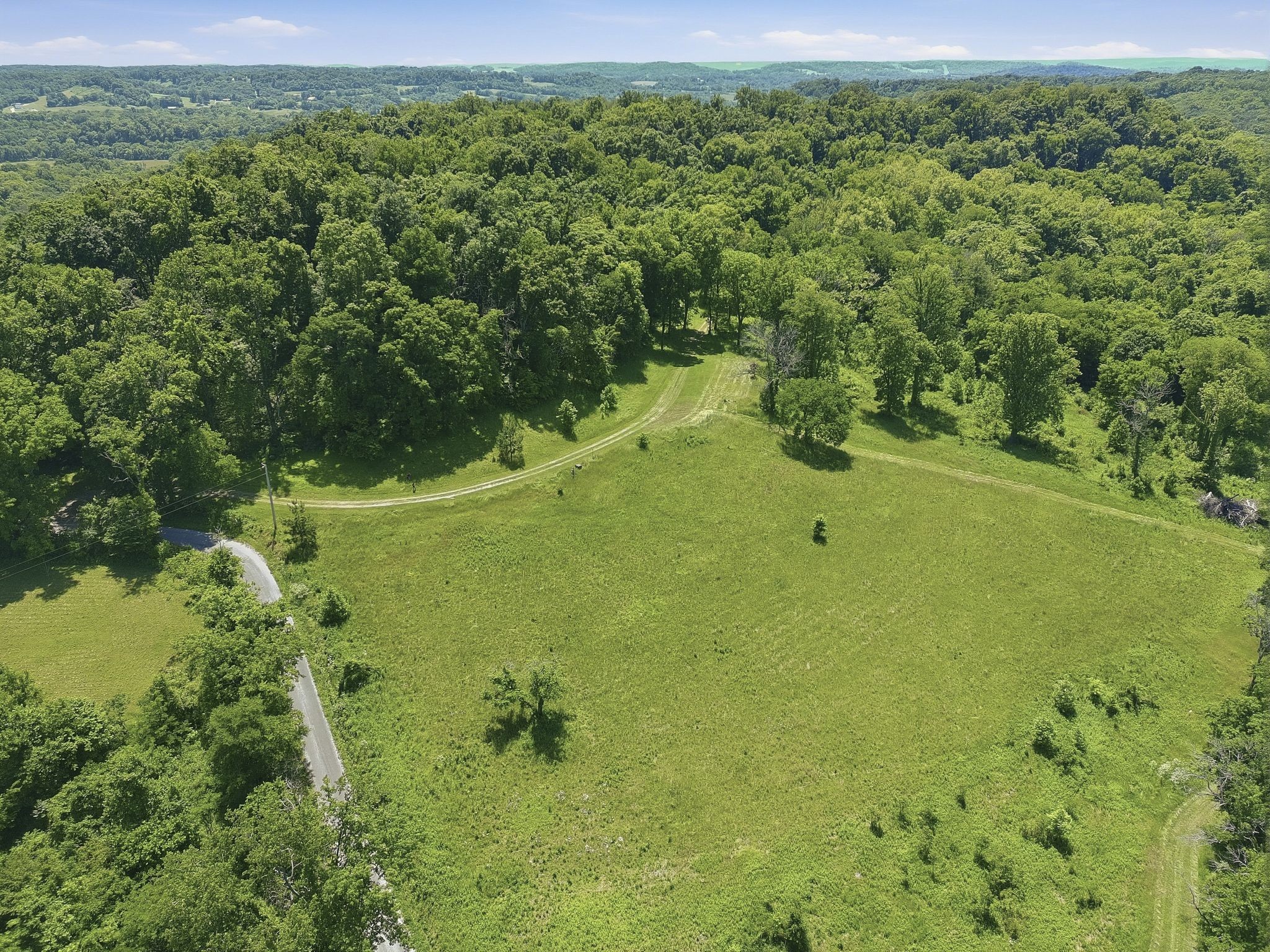 2677 Pigg Schoolhouse Road Santa Fe, TN 38482 - Photo 24 of 35 a view of a forest with a yard