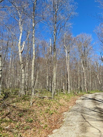 Lot 2 Garrett Bay Road Ellison Bay, WI 54210 - Photo 3 of 9