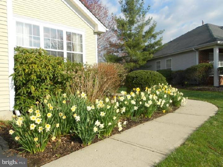 35 Foster Road Pennington, NJ 08534 - Photo 3 of 24 Gallery Image 3