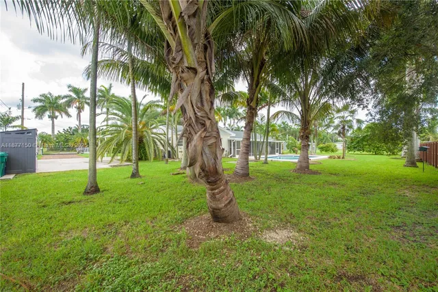 a huge green field with lots of trees