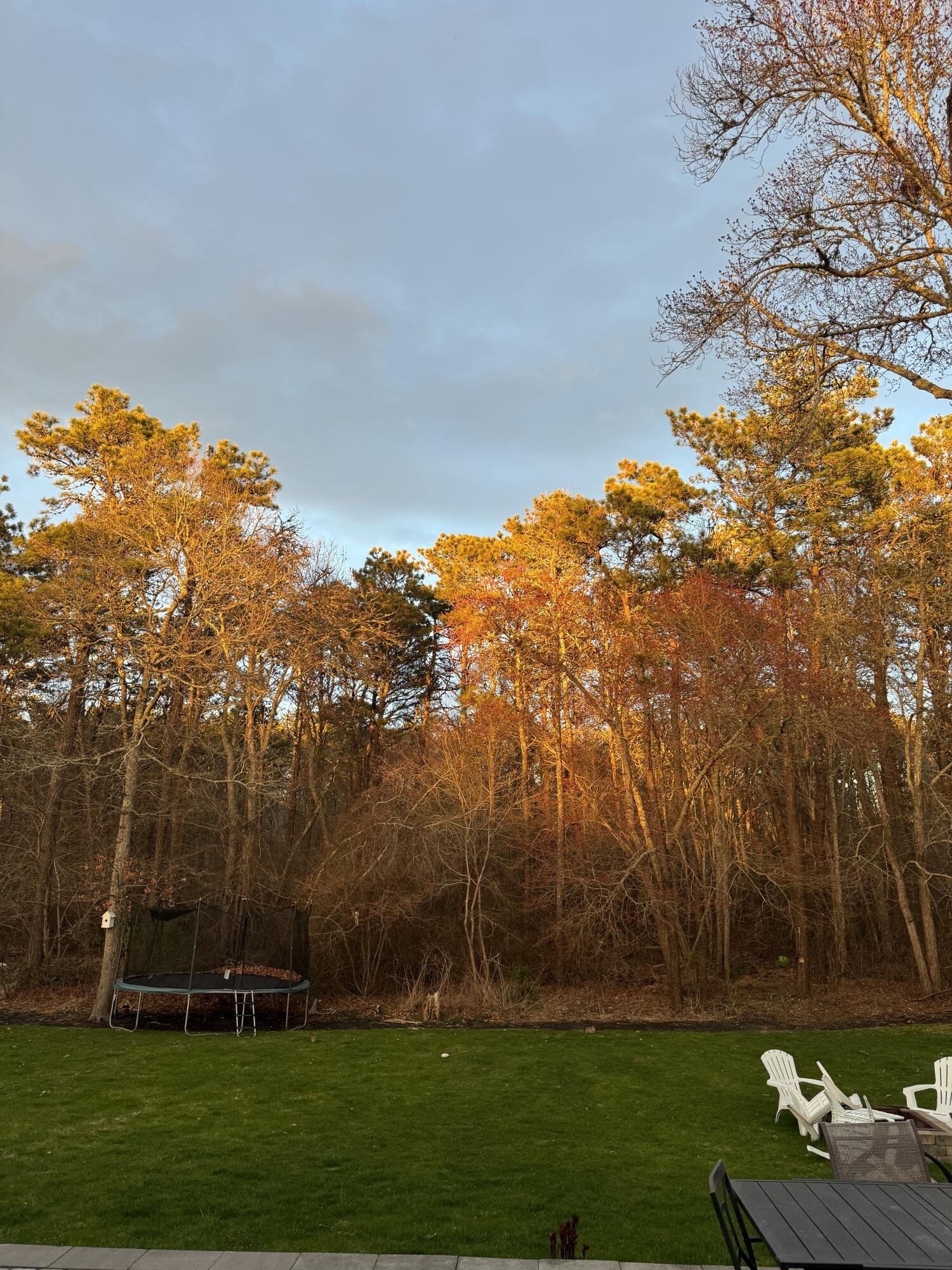 80 Coolidge Road West Yarmouth, MA 02673 - Photo 34 of 37 front view of a house with a yard