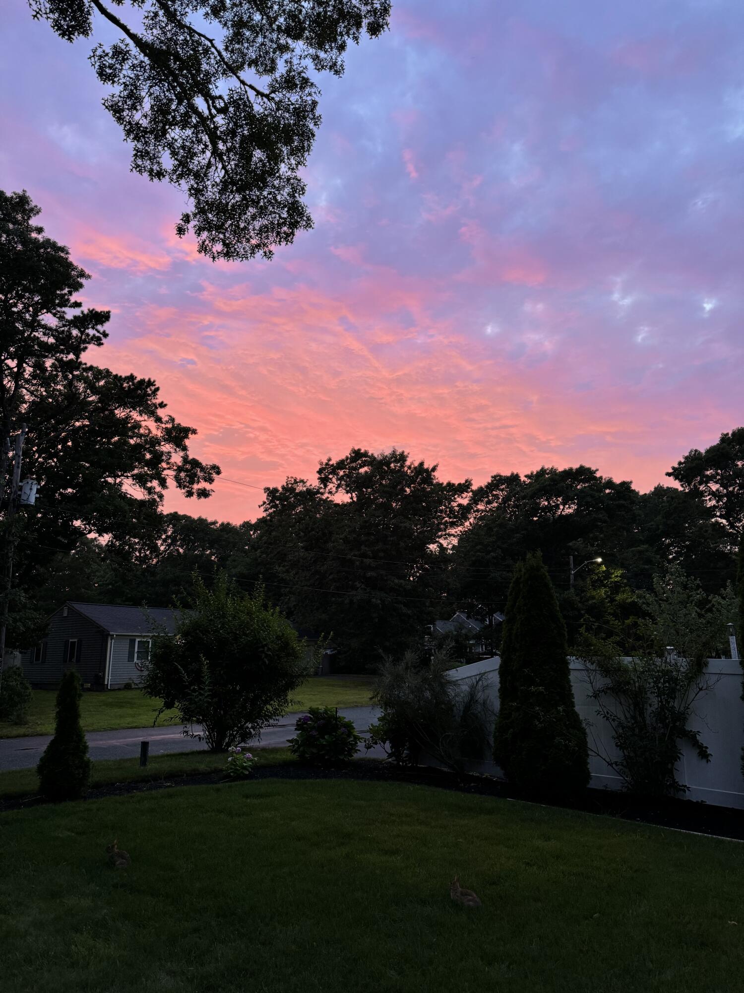 80 Coolidge Road West Yarmouth, MA 02673 - Photo 35 of 37 a view of a yard with a house in back
