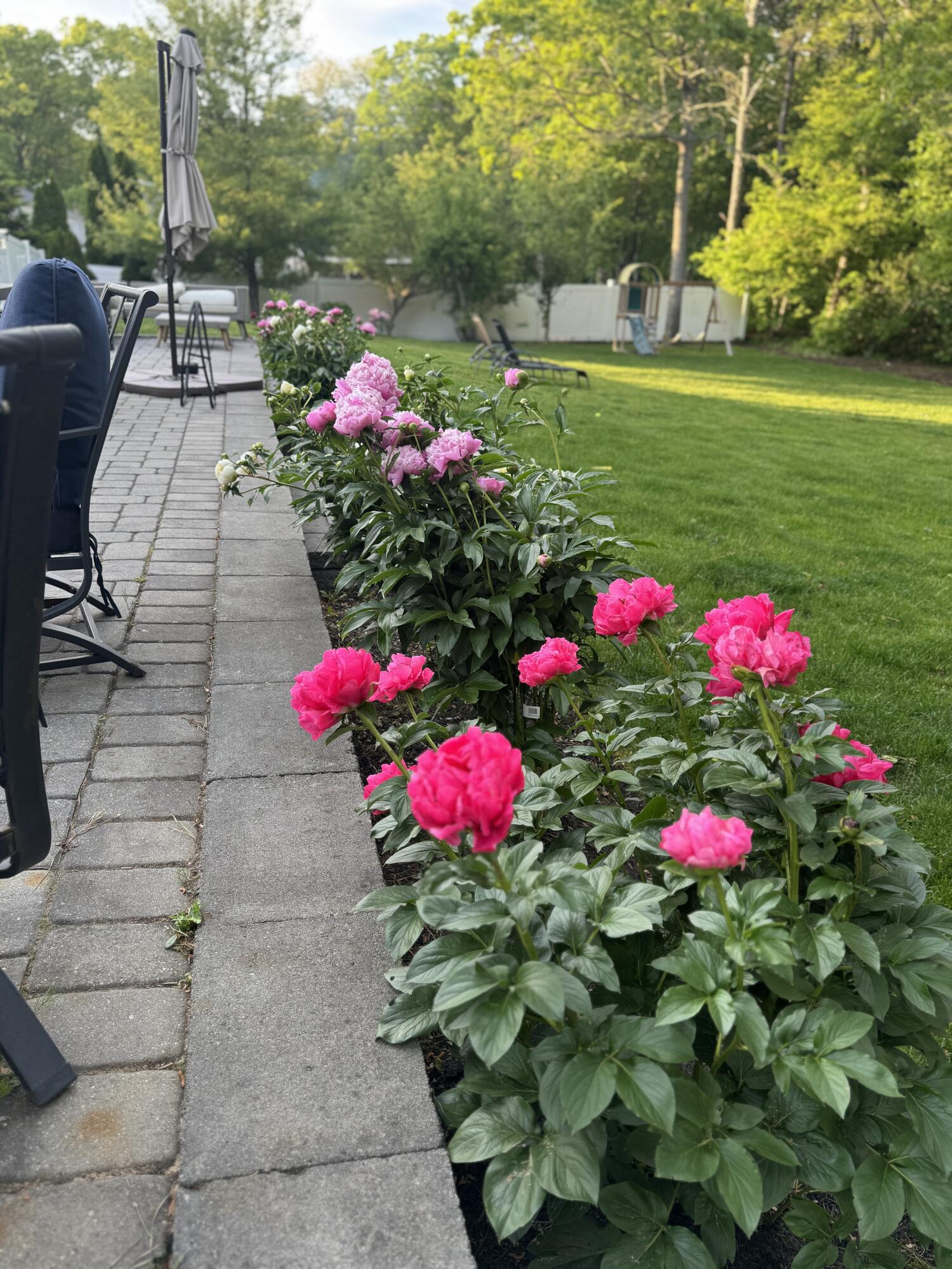 80 Coolidge Road West Yarmouth, MA 02673 - Photo 4 of 37 a view of bunch of flowers