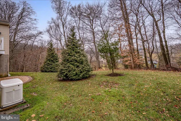 a view of a yard with trees