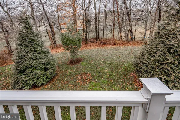 a view of a backyard with large trees