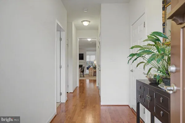 a hallway with wooden floor and a potted plant