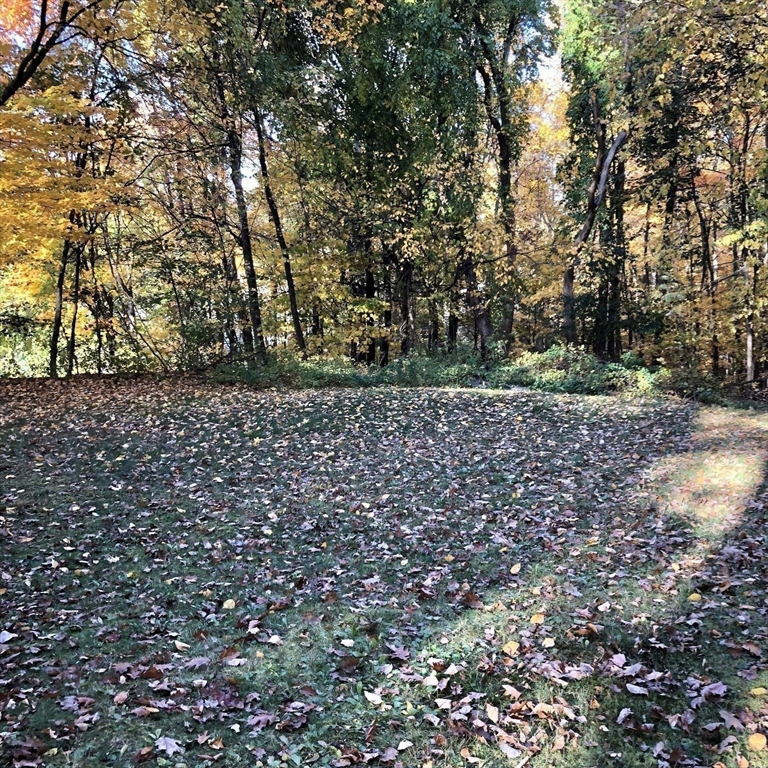 46 Legate Hill Road Leominster, MA 01453 - Photo 18 of 20 a picture of a tree