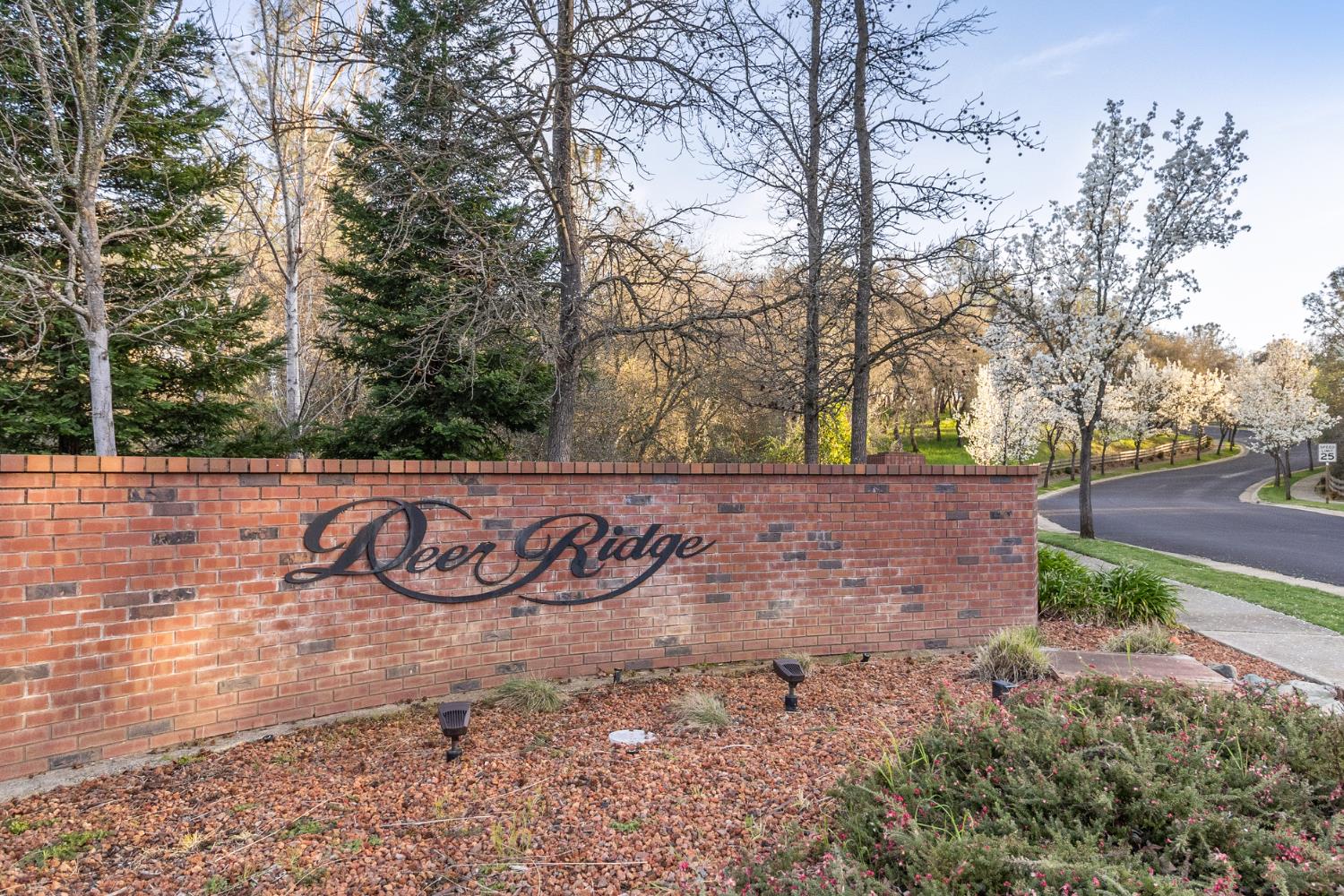 3835 Deer Ridge Lane Auburn, CA 95602 - Photo 71 of 79