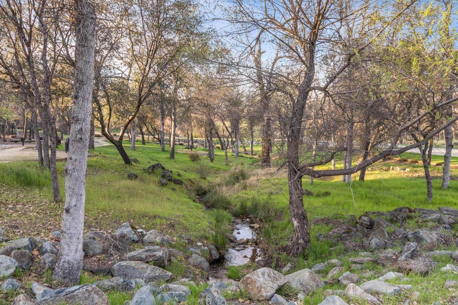 3835 Deer Ridge Lane Auburn, CA 95602 - Photo 75 of 79 a view of a garden with trees