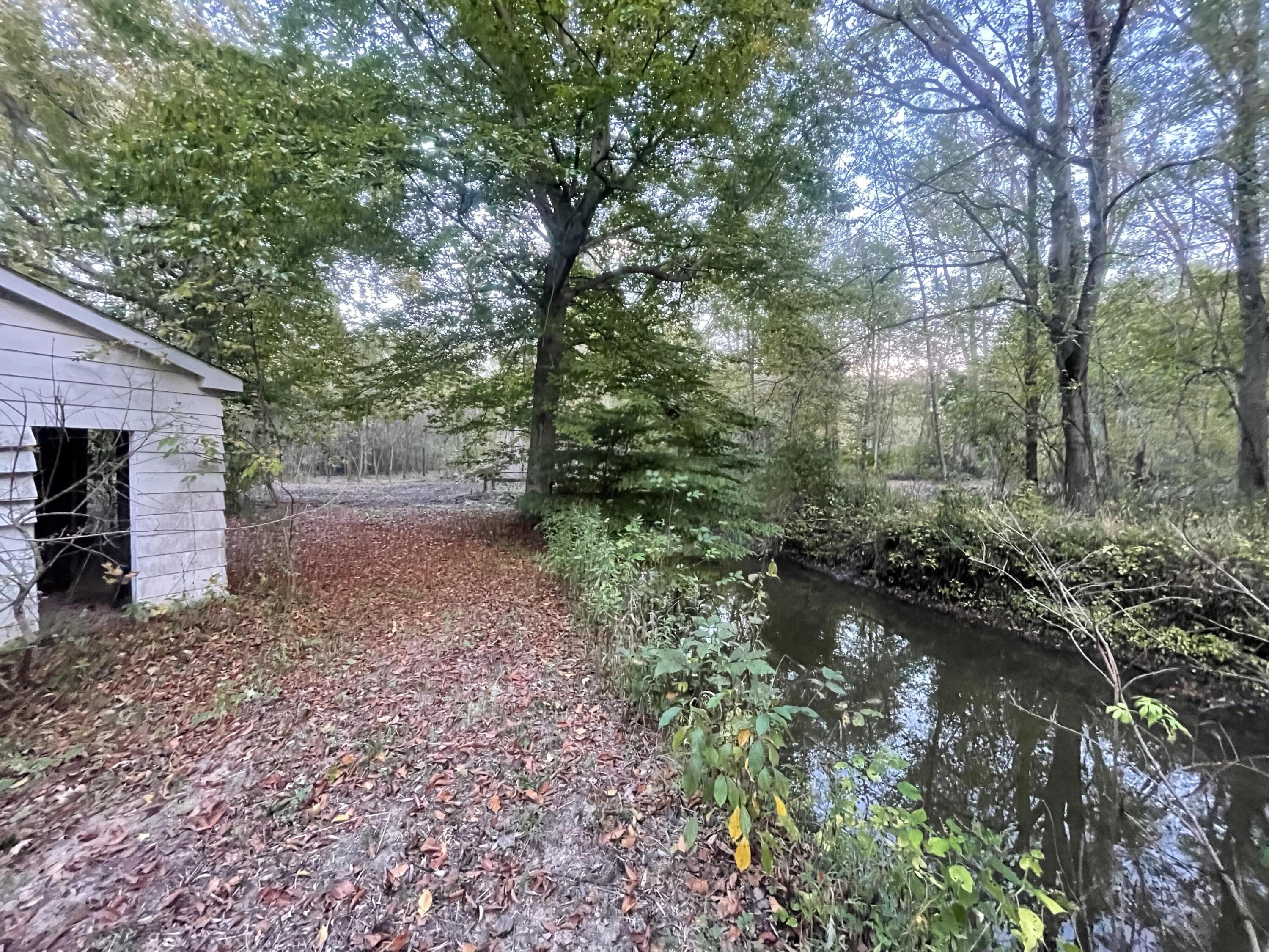 8040 West Martin Road Three Oaks, MI 49128 - Photo 5 of 14 beyc69b6307920ca5