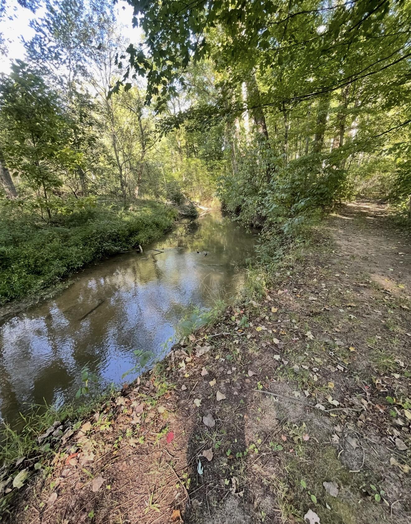 8040 West Martin Road Three Oaks, MI 49128 - Photo 8 of 14 beyc69b6334cbe04e