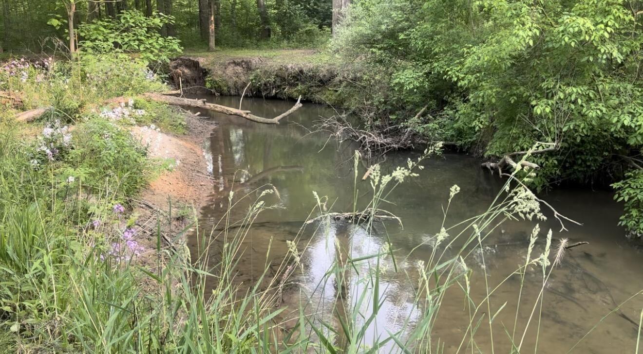 8040 West Martin Road Three Oaks, MI 49128 - Photo 9 of 14 beyc69b6334870fa6