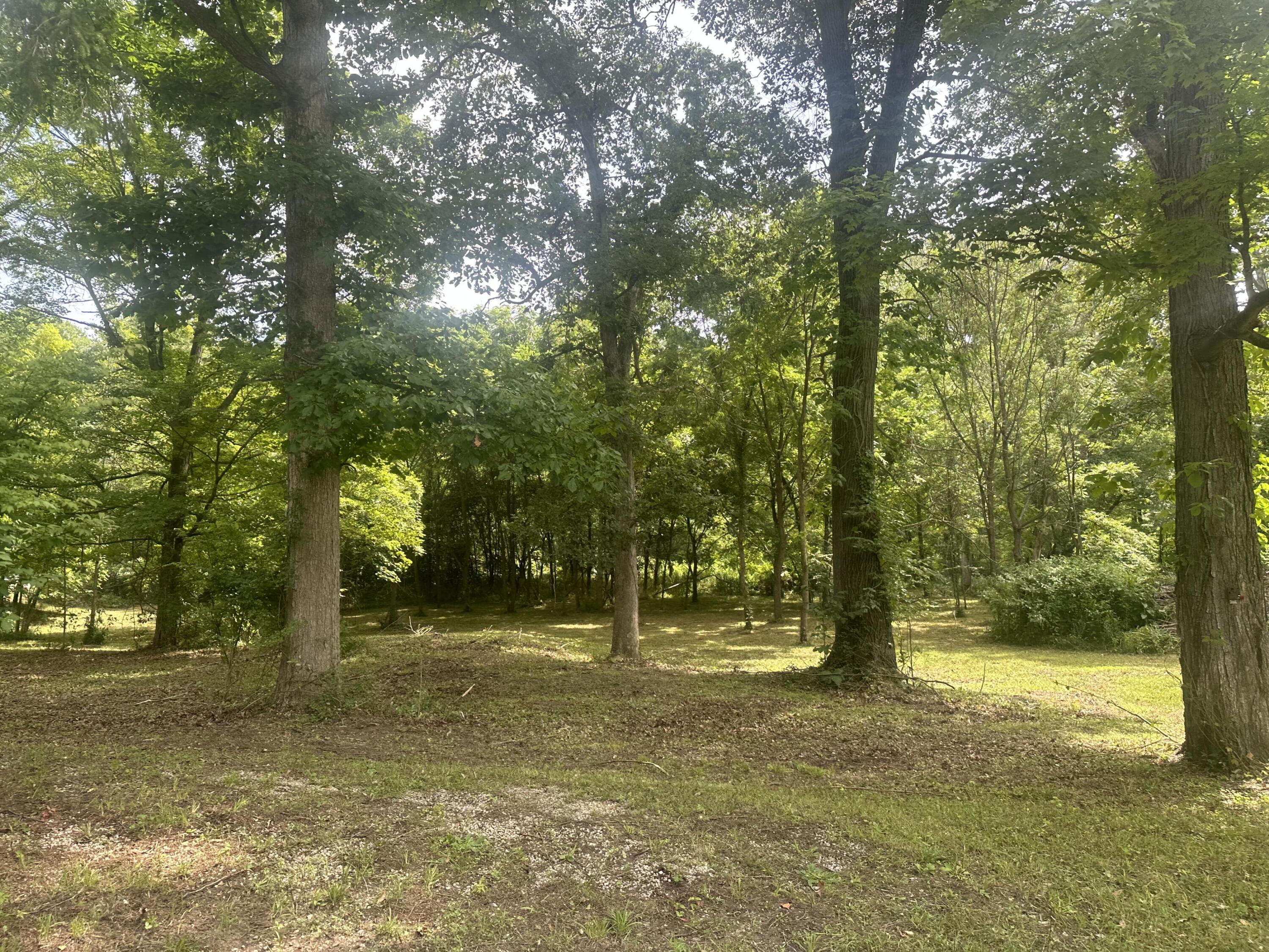 8040 West Martin Road Three Oaks, MI 49128 - Photo 10 of 14 beyc69b6323c899a9