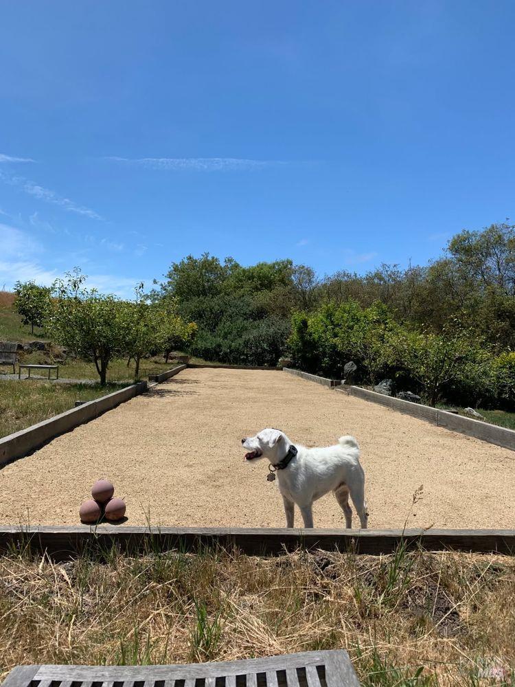 4707 Bloomfield Road Petaluma, CA 94952 - Photo 69 of 97 Bocce Ball area