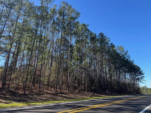 $39,998 | 1745 N, Colmesneil, TX 75938