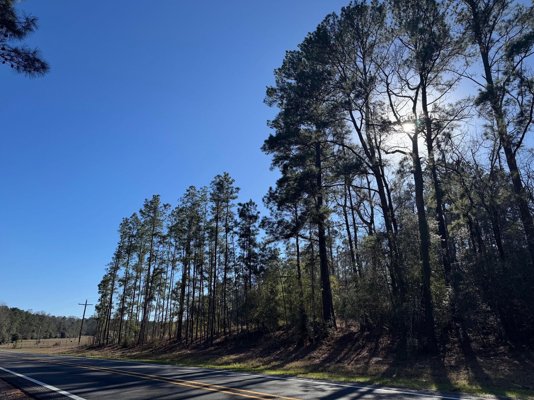 1745 N Colmesneil, TX 75938 - Photo 2 of 6