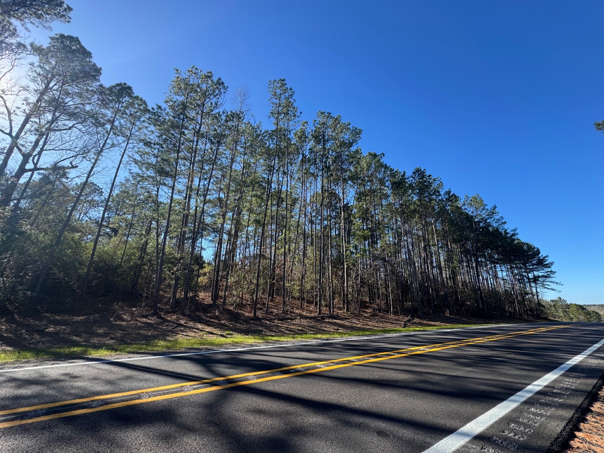 1745 N Colmesneil, TX 75938 - Photo 4 of 6