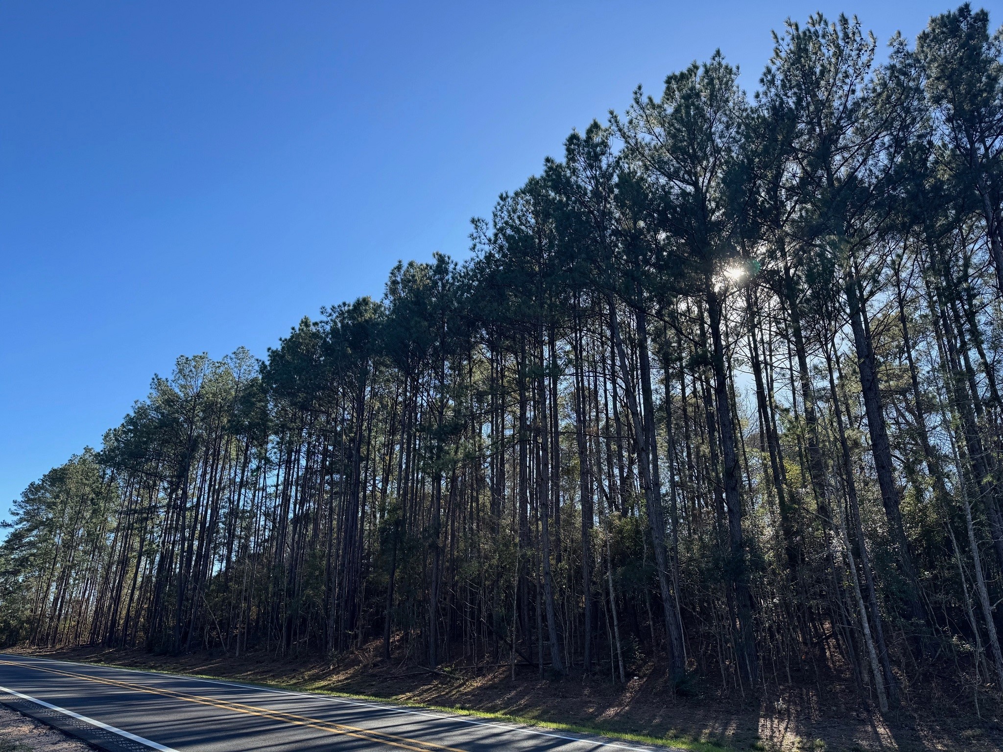 1745 N Colmesneil, TX 75938 - Photo 6 of 6