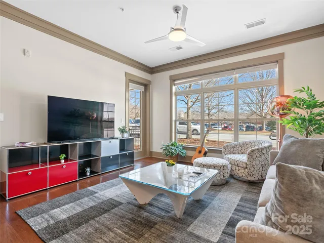 a living room with furniture and a potted plant