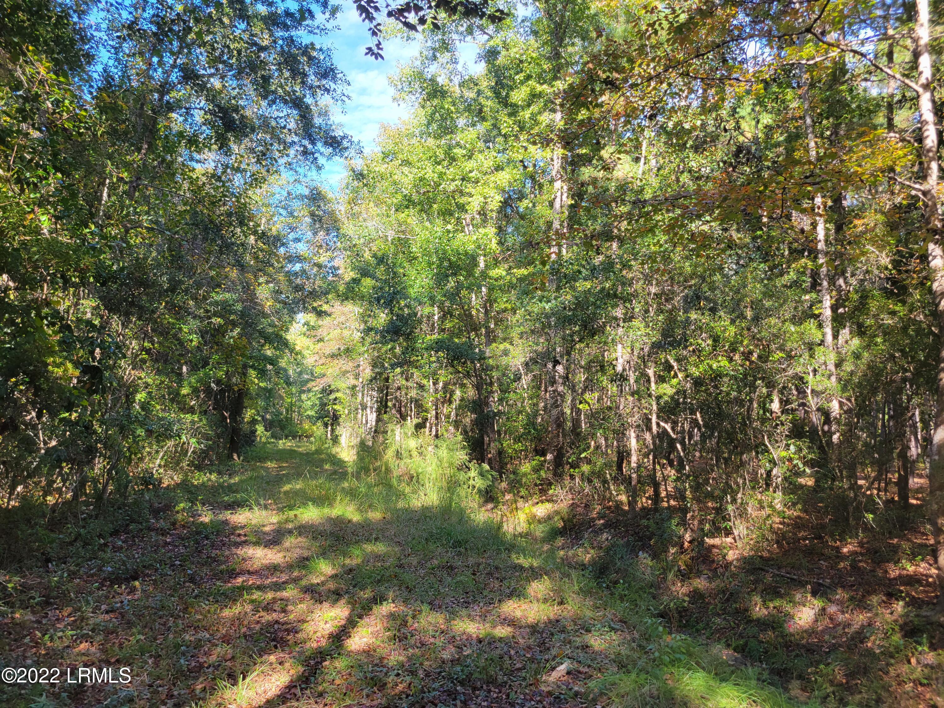 67 Holly Hall Road, Unit A Beaufort, SC 29907 - Photo 2 of 11 20221025_152343